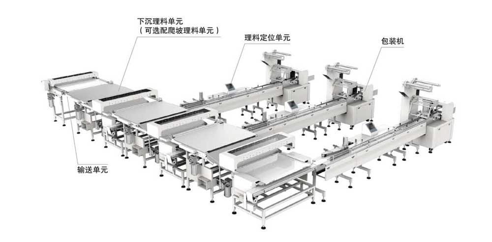 瑞士卷類理料包裝系統